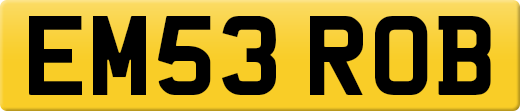 EM53ROB